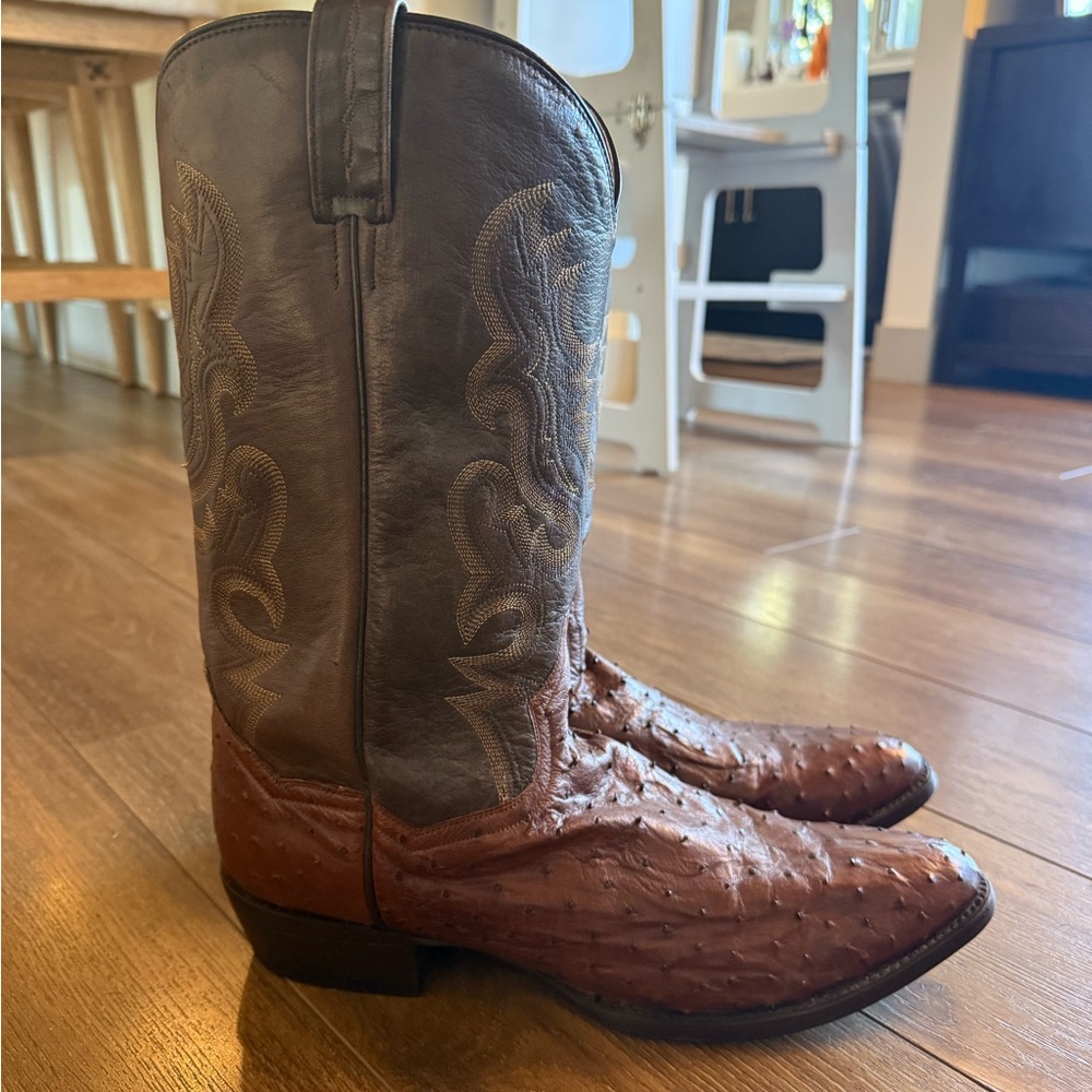 Dan Post Leather & Ostrich Cowboy Boots